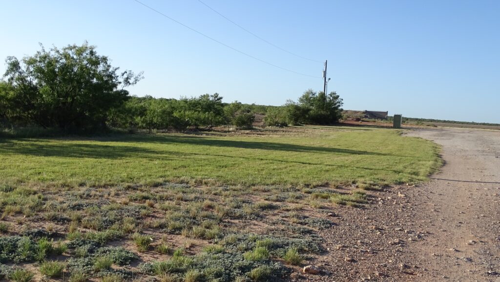 Mowed Field 02