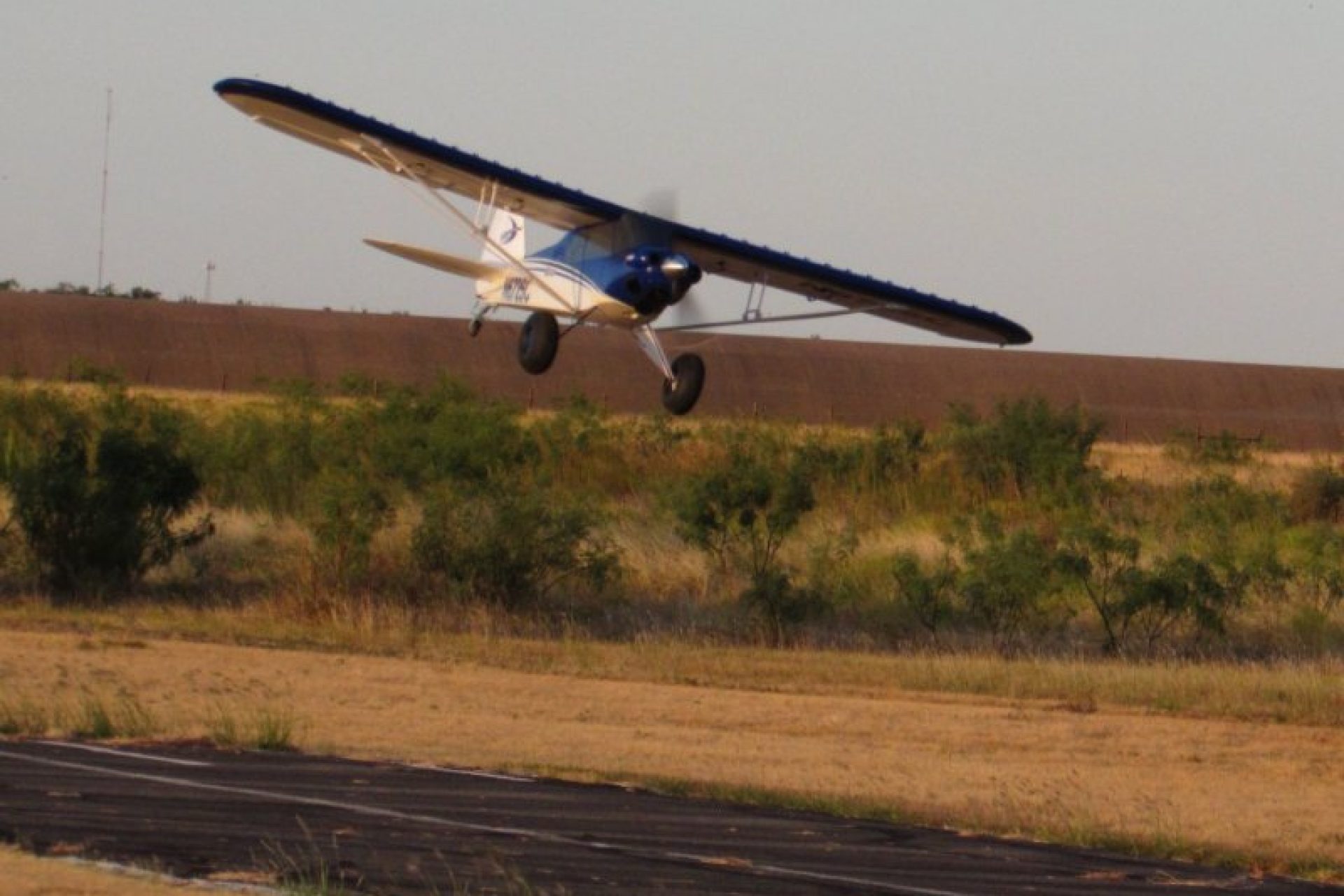 Charlie C Carbon Z Cub 06